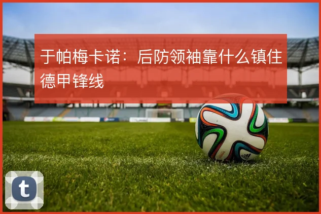 于帕梅卡诺：后防领袖靠什么镇住德甲锋线